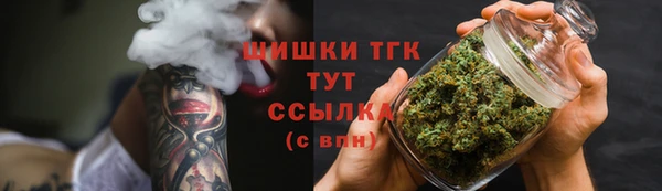 дживик Белокуриха