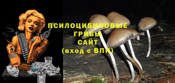 эйфоретик Белоозёрский