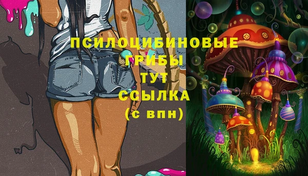 дживик Белокуриха