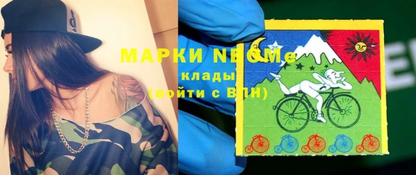 дживик Белокуриха