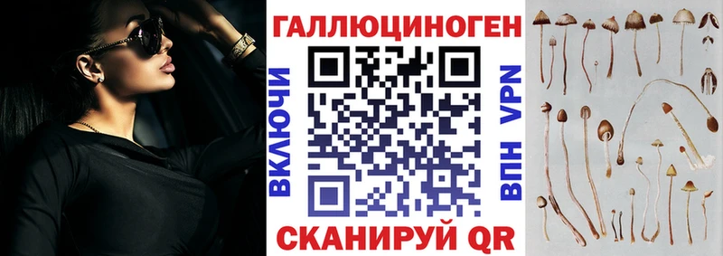 Галлюциногенные грибы Cubensis  Вуктыл 